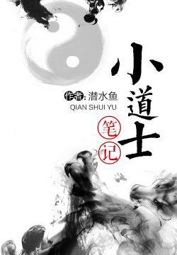 盗宋