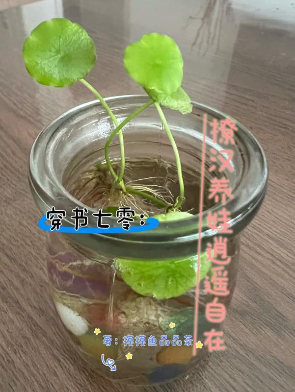 出狱后，我成了风水之王