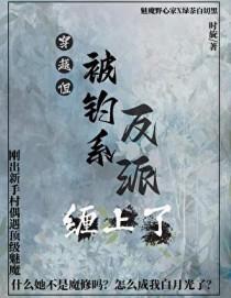 侠骨忠魂：君无痕的家国征程