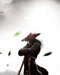 娇娇娘子(都市风云奇文)